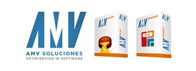 AMV Soluciones Informáticas, s.l.: Optimization in Software